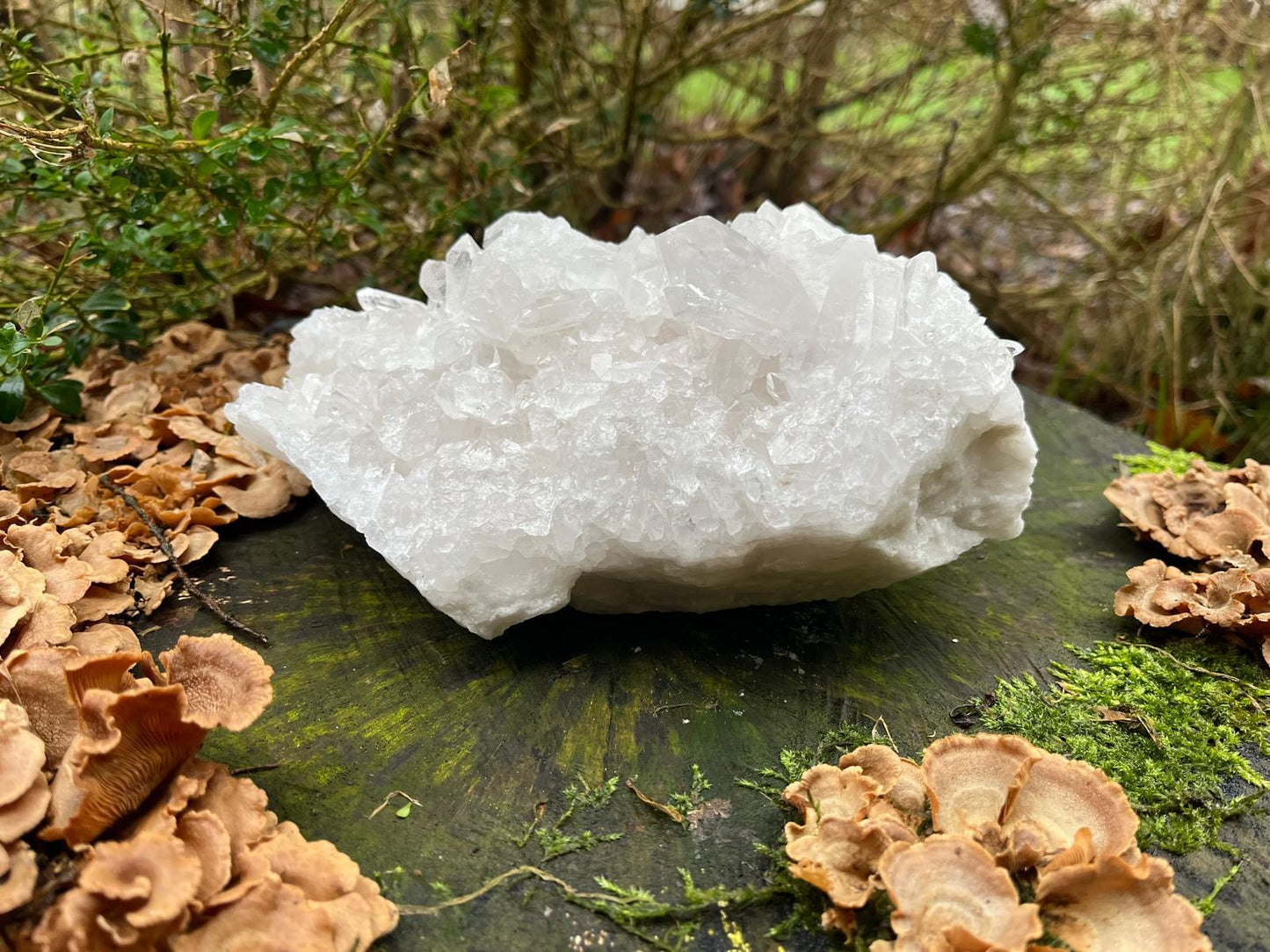 Bergkristal statement