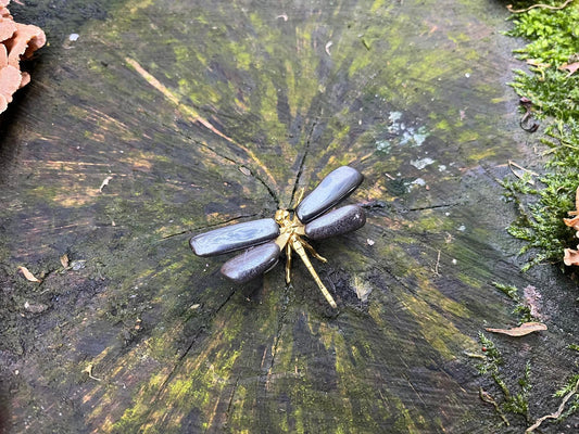 Libelle hematiet