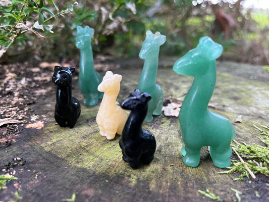 Giraffen carvings