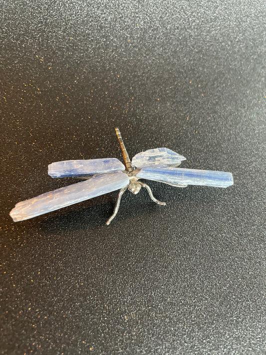 Natuurlijke kyaniet kristal libelle