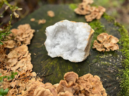 Bergkristal geode groot