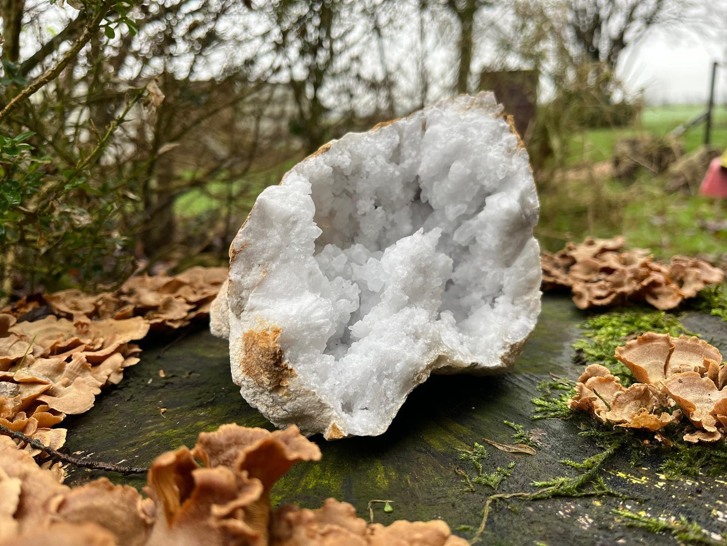 Bergkristal geode groot