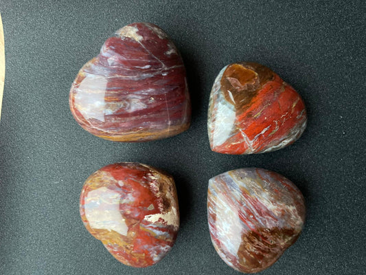 Versteend hout hart