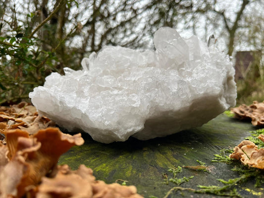 Bergkristal statement