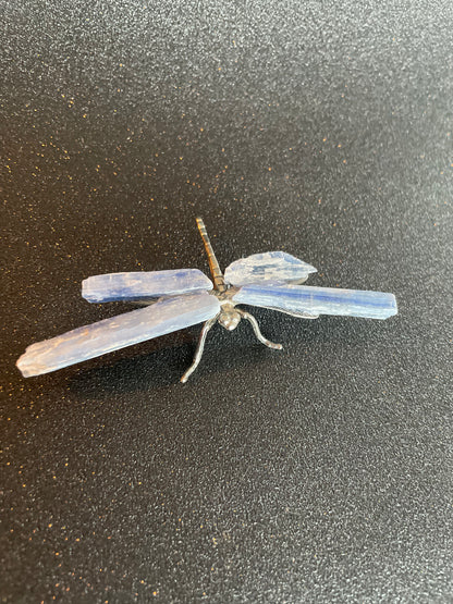 Natuurlijke kyaniet kristal libelle